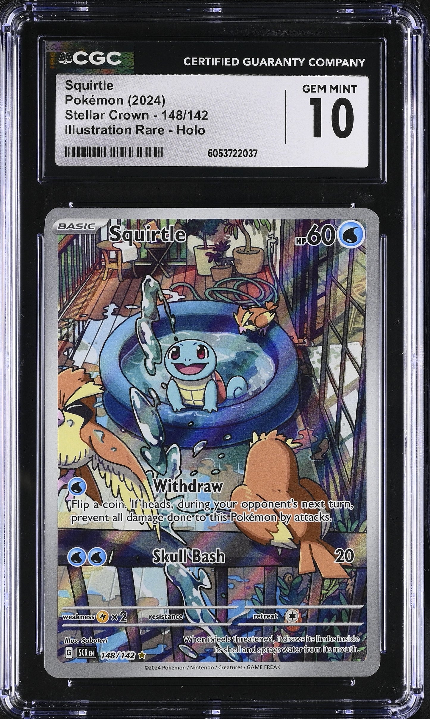 Pokémon English Squirtle 148/142 2024 Stellar Crown - SCR EN Illustration Rare Holo