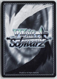 Super Dimension Venus Walkure, Reina (DCR) MDE/SE45E47DCR DCR MACROSS NM
